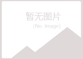 山西夏岚机械有限公司